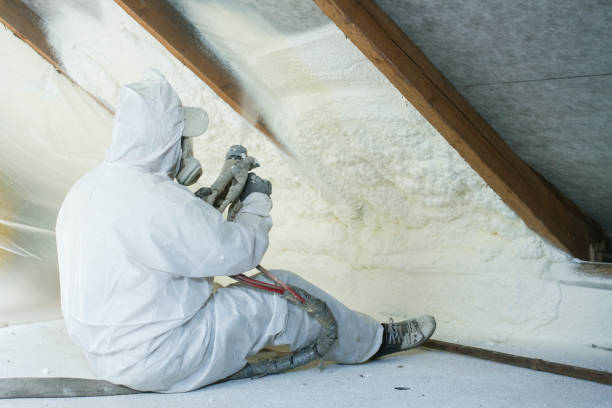 Best Basement Insulation  in Ocean Pointe, HI