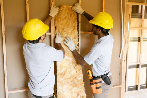 Types of Insulation We Offer in Ocean Pointe, HI